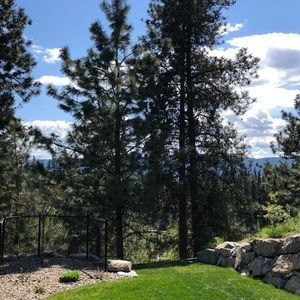 Meet your Posher, Tanner